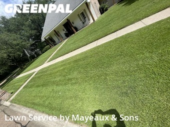 Yard Cutting nearby Baton Rouge, LA, 