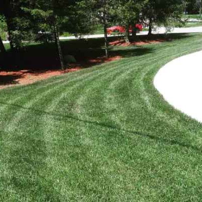 cheap-lawn-cutting-businesses-in-St Clair Shores-MI