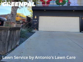 Landscaper In Dallas,75219,Landscaping by Antonio's Lawn Care, work completed in Dec , 2025