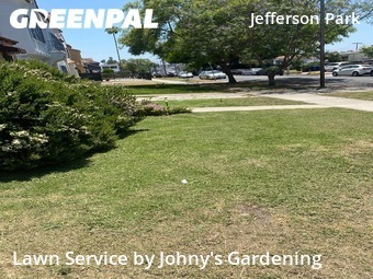 Lawn Care Service nearby Los Angeles, CA, 