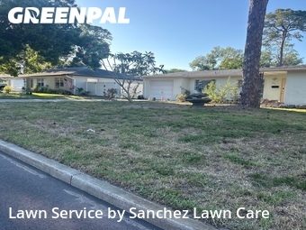 Grass Cut nearby Bradenton, FL, 