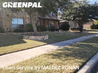 Grass Cutting nearby Sachse, TX, 