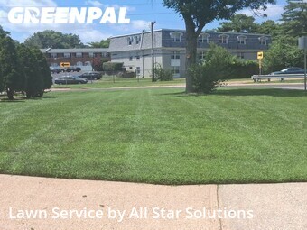 Lawn Service nearby St. Louis, IL, 
