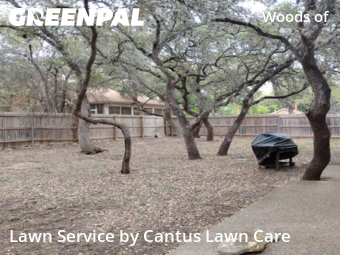 Yard Mowing nearby San Antonio, TX, 