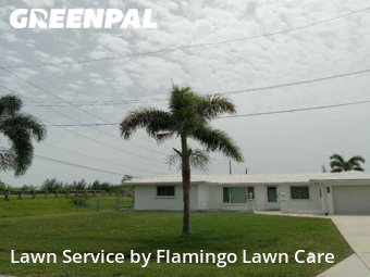 Lawn Cut nearby Punta Gorda, FL, 