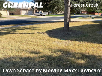 Lawn Maintenance nearby Round Rock, TX, 