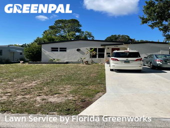 Grass Cut nearby St. Petersburg, FL, 