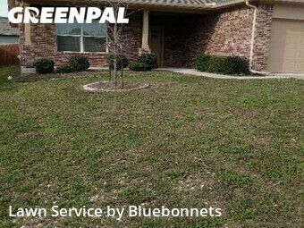 Lawn Cut nearby Austin, TX, 