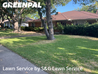 Grass Cut nearby Richardson, TX, 