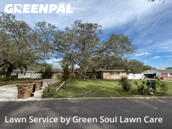 Grass Care in Temple Terrace, 33617, Yard Care by Green Soul Lawn Care, work completed in Nov , 2025