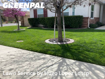 Grass Cutting nearby Menifee, CA, 