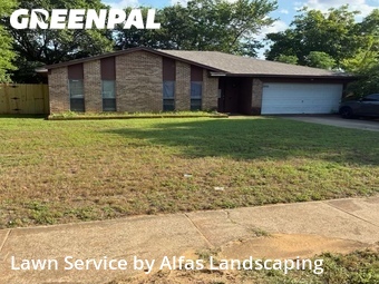 Lawn Care Servicein Irving,75060,Yard Cutting by Alfas Landscaping, work completed in Jun , 2026