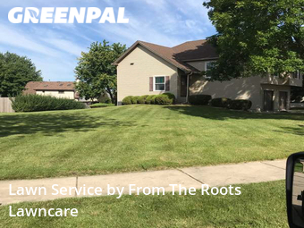 Lawn Cutting nearby Streamwood, IL, 
