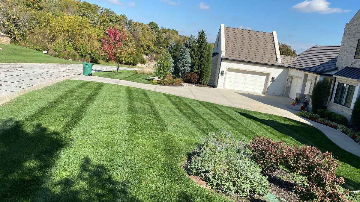 Delgado Lawn Care Lawn Care Services in Tulsa, OK