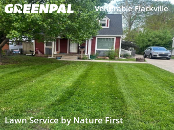Lawn Cutting nearby Indianapolis, IN, 