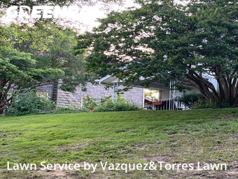 Grass Cutting nearby Washington, MD, 