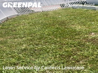 Lawn Maintenance nearby Miami Beach, FL, 