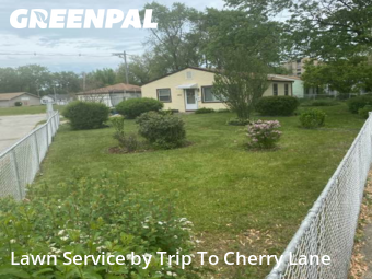 Grass Cutting nearby Robbins, IL, 
