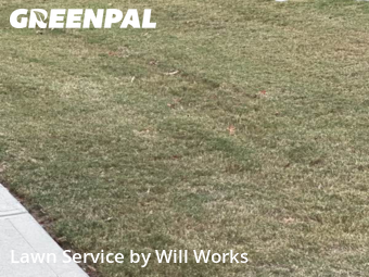 Yard Cutting nearby Charlotte, SC, 