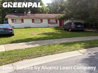 Yard Cutting nearby Apopka, FL, 