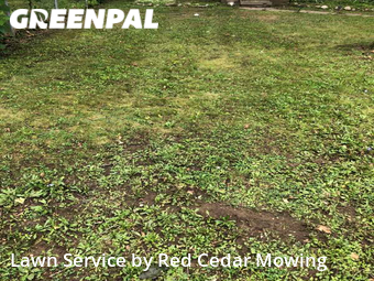 Lawn Cutting nearby Lansing, MI, 
