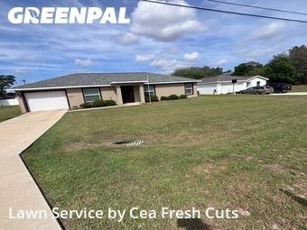 Lawn Mow nearby Ocala, FL, 