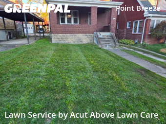 Turf Services in Pittsburgh, 15208, Lawn Upkeep by Acut Above Lawn Care, work completed in Nov , 2025