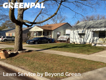 Yard Work in Dearborn Heights, 48125, Grass Cutting by Beyond Green, work completed in Nov , 2025