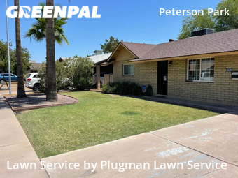 Modern Landscaping In Tempe,85282,Landscaping Services by Plugman Lawn Service, work completed in Jun , 2026