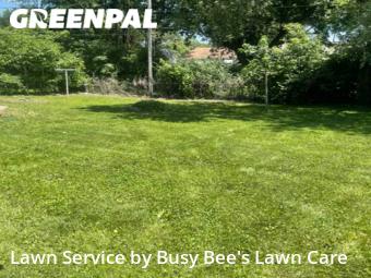 Lawn Cut nearby Granite City, IL, 