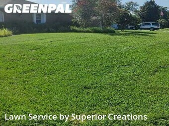 Lawn Cut nearby Spring Hill, FL, 