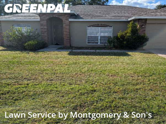 Lawn Mowing nearby Lakeland, FL, 