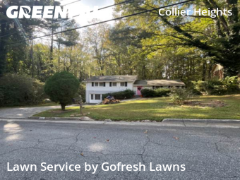 Grass Cutting nearby Atlanta, GA, 