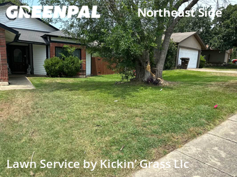 Yard Cutting nearby San Antonio, TX, 