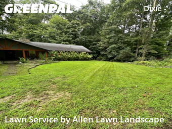 Grass Cut nearby Charlotte, NC, 