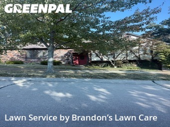 Grass Cutting nearby St. Louis, MO, 