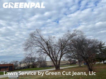 Grass Cutting nearby Elgin, IL, 