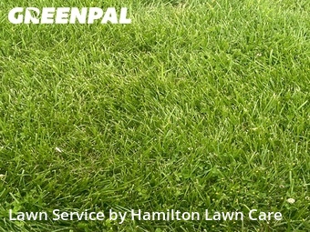 Lawn Mowing nearby Fishers, IN, 