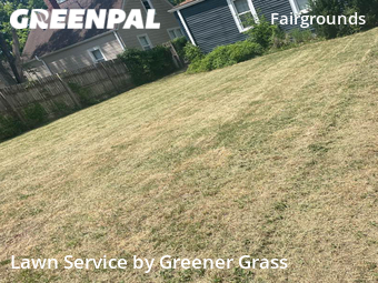 Lawn Cutting nearby Indianapolis, IN, 