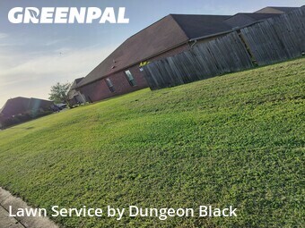 Grass Cutting nearby Denham Springs, LA, 