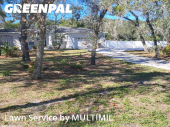 Yard Cutting in Temple Terrace, 33617, Landscaping Maintenance by MULTIMIL , work completed in Dec , 2025