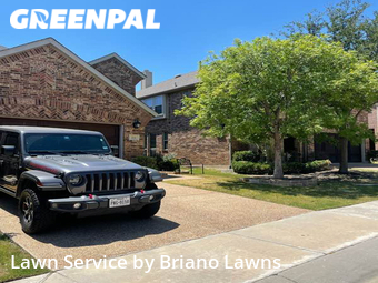 Grass Cut nearby Lewisville, TX, 