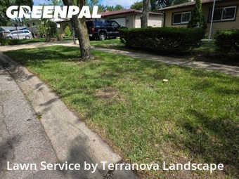 Yard Mowing nearby Streamwood, IL, 