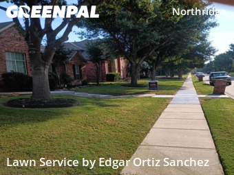 Yard Mowingin Frisco,75034,Yard Cutting by Edgar Ortiz Sanchez, work completed in Nov , 2025