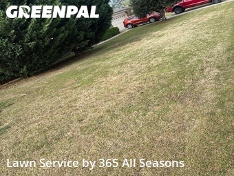 Yard Cutting nearby Evans, GA, 