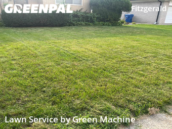 Lawn Mow nearby Warren, MI, 