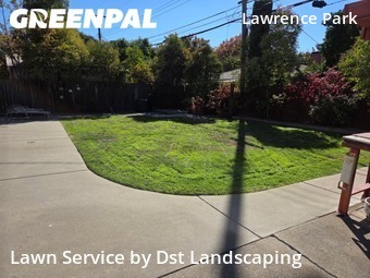 Work completed by grass-cutting-businesses-in-Sacramento-CA