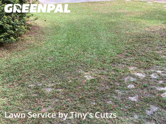 Lawn Cutting nearby Valdosta, GA, 