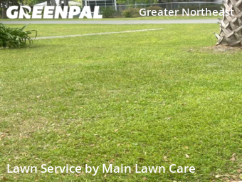 Grass Cut nearby Gainesville, FL, 