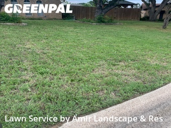 Grass Cut nearby Fort Worth, TX, 
